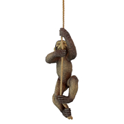 Image Thumbnail for MAKOKOU THE CLIMBING MONKEY